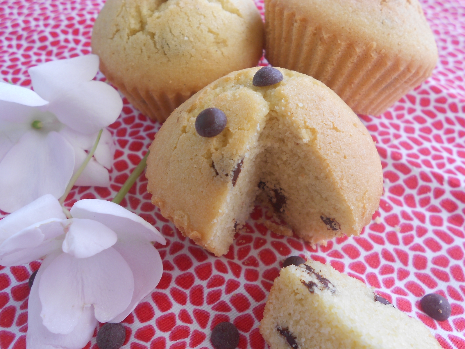 miam, des muffins coco et chocolat