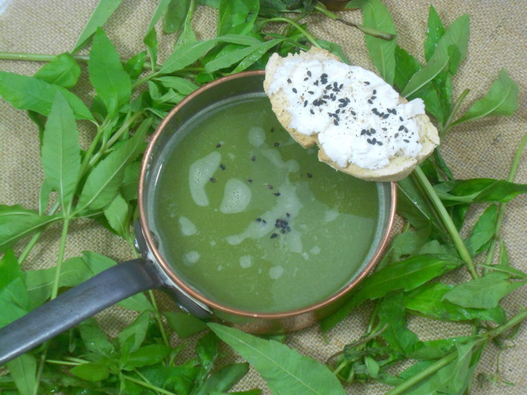 une recette anti gaspi