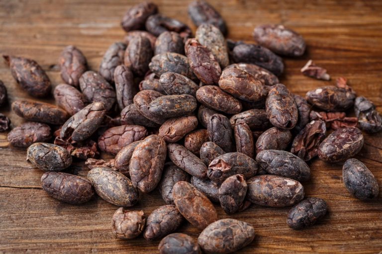 cacao et magnésium