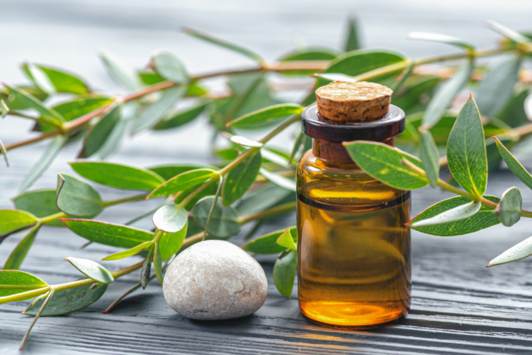 3 huiles essentielles d’eucalyptus pleines de bienfaits