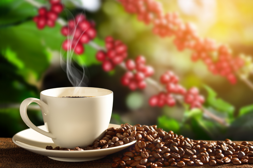 café anti inflammatoire baies