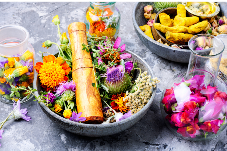 combattre stress et naturopathie plantes