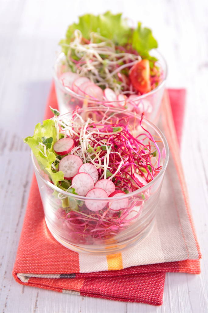 salade graines de radis germées